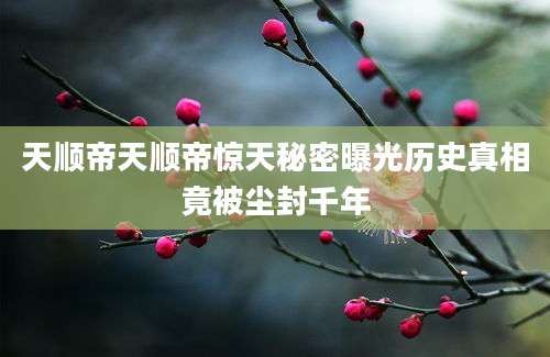 天顺帝天顺帝惊天秘密曝光历史真相竟被尘封千年
