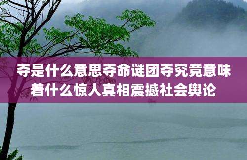 夺是什么意思夺命谜团夺究竟意味着什么惊人真相震撼社会舆论