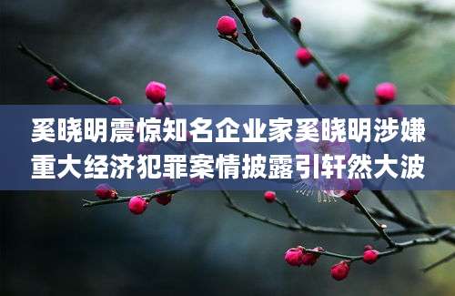 奚晓明震惊知名企业家奚晓明涉嫌重大经济犯罪案情披露引轩然大波