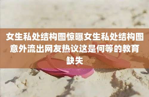 女生私处结构图惊曝女生私处结构图意外流出网友热议这是何等的教育缺失