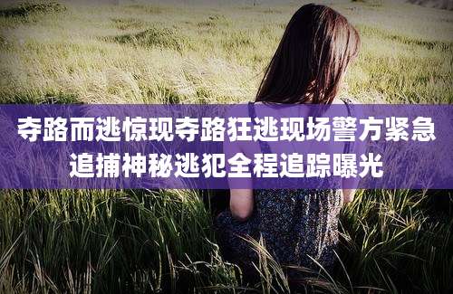夺路而逃惊现夺路狂逃现场警方紧急追捕神秘逃犯全程追踪曝光