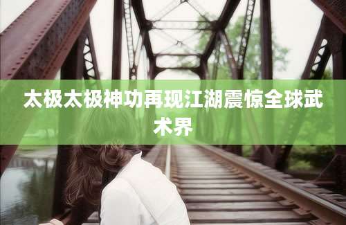 太极太极神功再现江湖震惊全球武术界