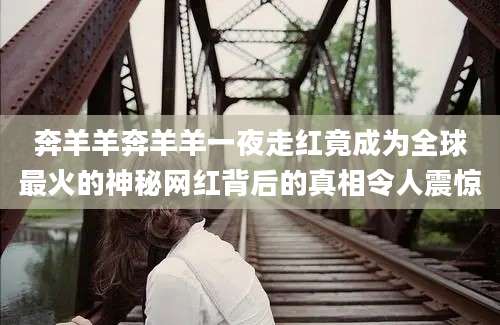 奔羊羊奔羊羊一夜走红竟成为全球最火的神秘网红背后的真相令人震惊