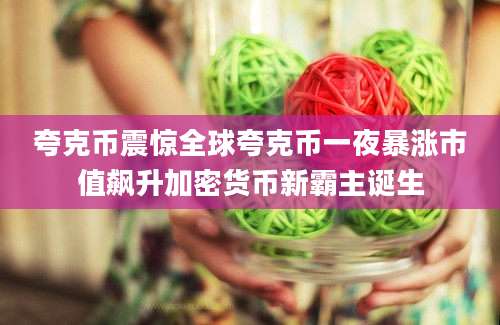 夸克币震惊全球夸克币一夜暴涨市值飙升加密货币新霸主诞生