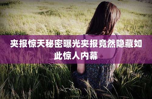 夹报惊天秘密曝光夹报竟然隐藏如此惊人内幕