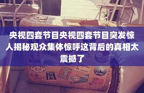 央视四套节目央视四套节目突发惊人揭秘观众集体惊呼这背后的真相太震撼了