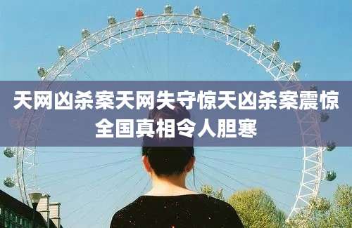 天网凶杀案天网失守惊天凶杀案震惊全国真相令人胆寒