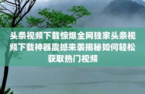 头条视频下载惊爆全网独家头条视频下载神器震撼来袭揭秘如何轻松获取热门视频