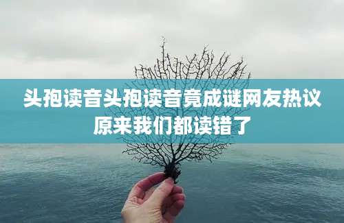 头孢读音头孢读音竟成谜网友热议原来我们都读错了