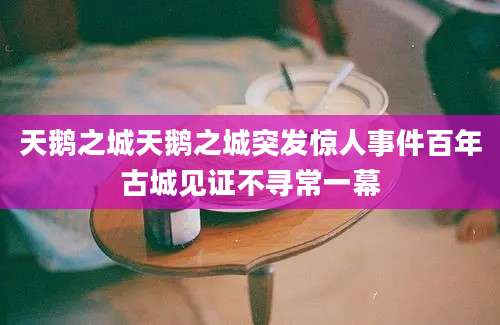 天鹅之城天鹅之城突发惊人事件百年古城见证不寻常一幕