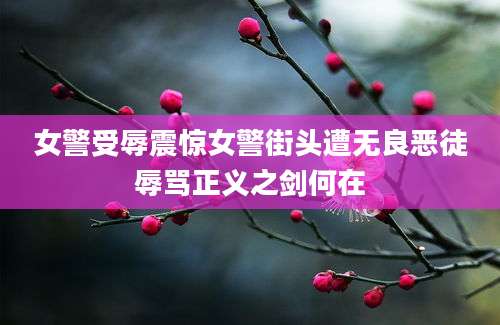 女警受辱震惊女警街头遭无良恶徒辱骂正义之剑何在