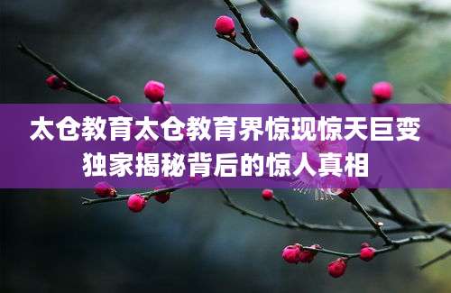 太仓教育太仓教育界惊现惊天巨变独家揭秘背后的惊人真相