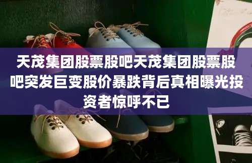 天茂集团股票股吧天茂集团股票股吧突发巨变股价暴跌背后真相曝光投资者惊呼不已