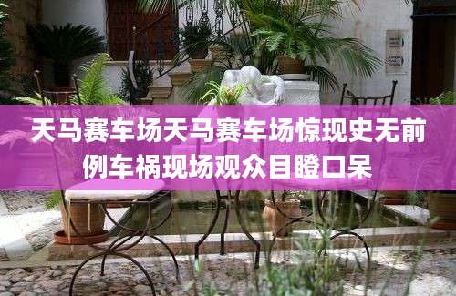天马赛车场天马赛车场惊现史无前例车祸现场观众目瞪口呆