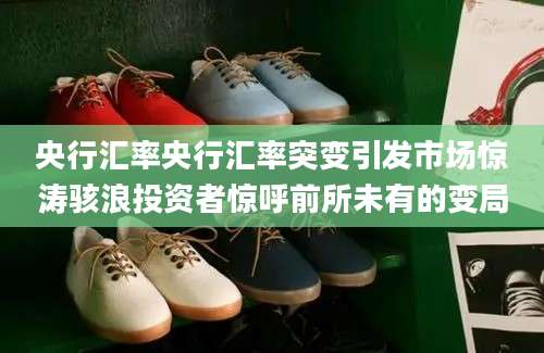 央行汇率央行汇率突变引发市场惊涛骇浪投资者惊呼前所未有的变局