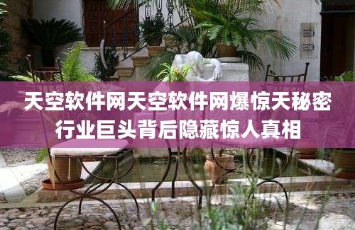 天空软件网天空软件网爆惊天秘密行业巨头背后隐藏惊人真相