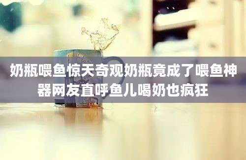 奶瓶喂鱼惊天奇观奶瓶竟成了喂鱼神器网友直呼鱼儿喝奶也疯狂