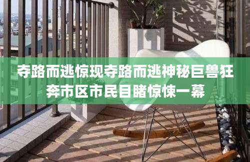 夺路而逃惊现夺路而逃神秘巨兽狂奔市区市民目睹惊悚一幕