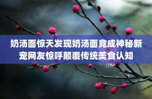 奶汤面惊天发现奶汤面竟成神秘新宠网友惊呼颠覆传统美食认知