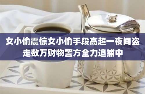 女小偷震惊女小偷手段高超一夜间盗走数万财物警方全力追捕中