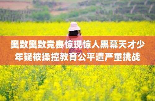 奥数奥数竞赛惊现惊人黑幕天才少年疑被操控教育公平遭严重挑战