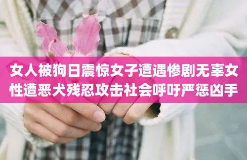 女人被狗日震惊女子遭遇惨剧无辜女性遭恶犬残忍攻击社会呼吁严惩凶手