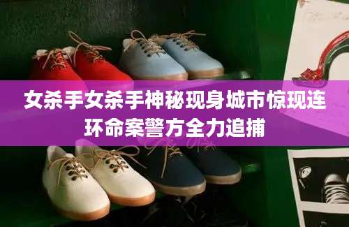 女杀手女杀手神秘现身城市惊现连环命案警方全力追捕