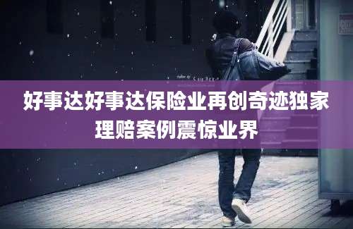 好事达好事达保险业再创奇迹独家理赔案例震惊业界