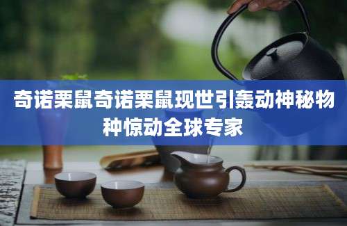奇诺栗鼠奇诺栗鼠现世引轰动神秘物种惊动全球专家
