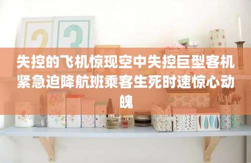 失控的飞机惊现空中失控巨型客机紧急迫降航班乘客生死时速惊心动魄