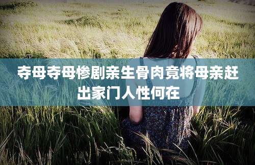 夺母夺母惨剧亲生骨肉竟将母亲赶出家门人性何在