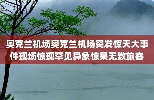 奥克兰机场奥克兰机场突发惊天大事件现场惊现罕见异象惊呆无数旅客