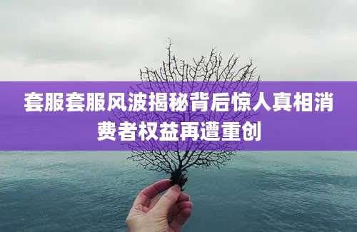 套服套服风波揭秘背后惊人真相消费者权益再遭重创