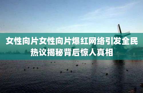 女性向片女性向片爆红网络引发全民热议揭秘背后惊人真相
