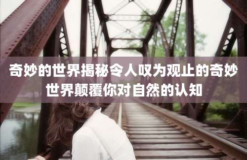 奇妙的世界揭秘令人叹为观止的奇妙世界颠覆你对自然的认知