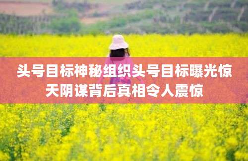 头号目标神秘组织头号目标曝光惊天阴谋背后真相令人震惊