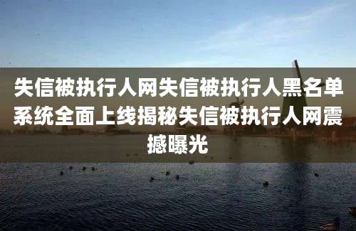 失信被执行人网失信被执行人黑名单系统全面上线揭秘失信被执行人网震撼曝光