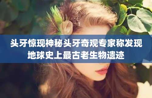 头牙惊现神秘头牙奇观专家称发现地球史上最古老生物遗迹