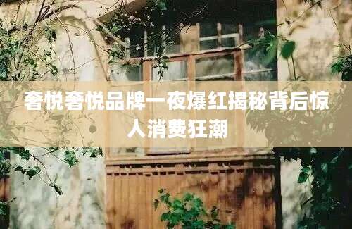 奢悦奢悦品牌一夜爆红揭秘背后惊人消费狂潮
