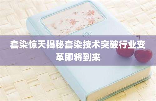 套染惊天揭秘套染技术突破行业变革即将到来