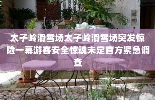 太子岭滑雪场太子岭滑雪场突发惊险一幕游客安全惊魂未定官方紧急调查