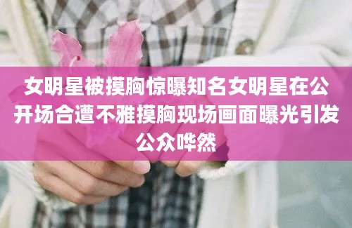 女明星被摸胸惊曝知名女明星在公开场合遭不雅摸胸现场画面曝光引发公众哗然