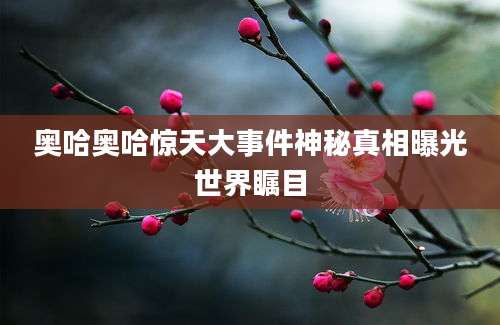 奥哈奥哈惊天大事件神秘真相曝光世界瞩目