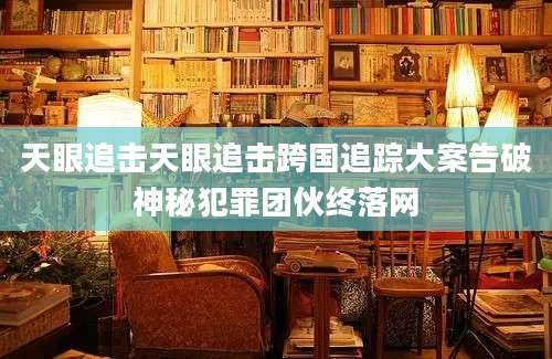 天眼追击天眼追击跨国追踪大案告破神秘犯罪团伙终落网