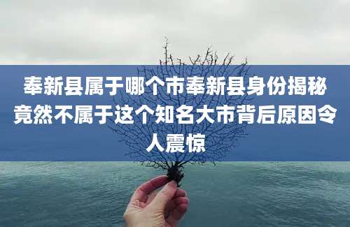 奉新县属于哪个市奉新县身份揭秘竟然不属于这个知名大市背后原因令人震惊