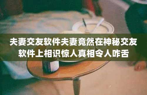 夫妻交友软件夫妻竟然在神秘交友软件上相识惊人真相令人咋舌