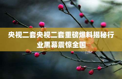 央视二套央视二套重磅爆料揭秘行业黑幕震惊全国