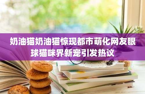 奶油猫奶油猫惊现都市萌化网友眼球猫咪界新宠引发热议