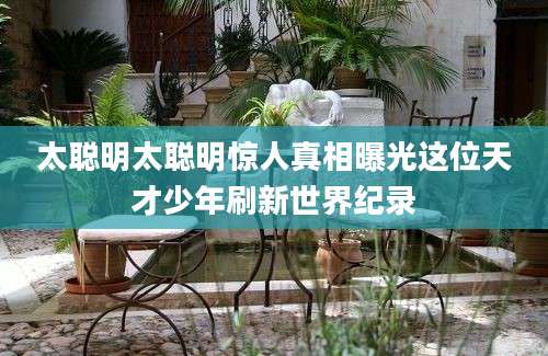 太聪明太聪明惊人真相曝光这位天才少年刷新世界纪录