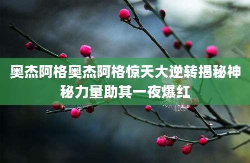 奥杰阿格奥杰阿格惊天大逆转揭秘神秘力量助其一夜爆红